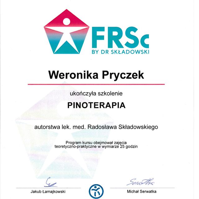 Powiększ obraz: certificate 3