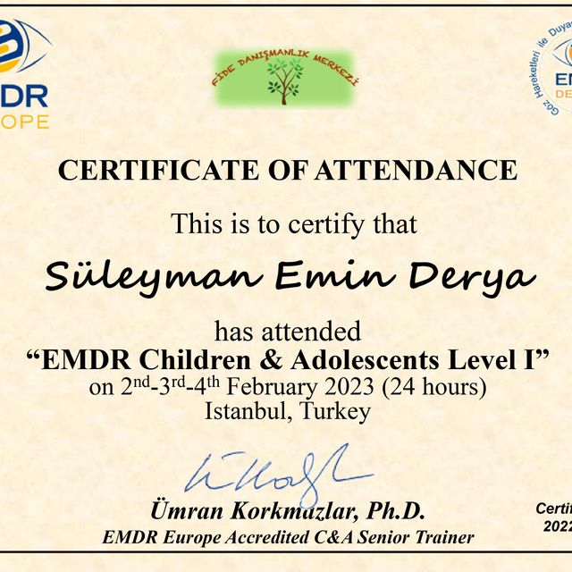 Resmi büyüt: certificate 11