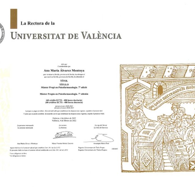 Acercar imagen: certificate 3