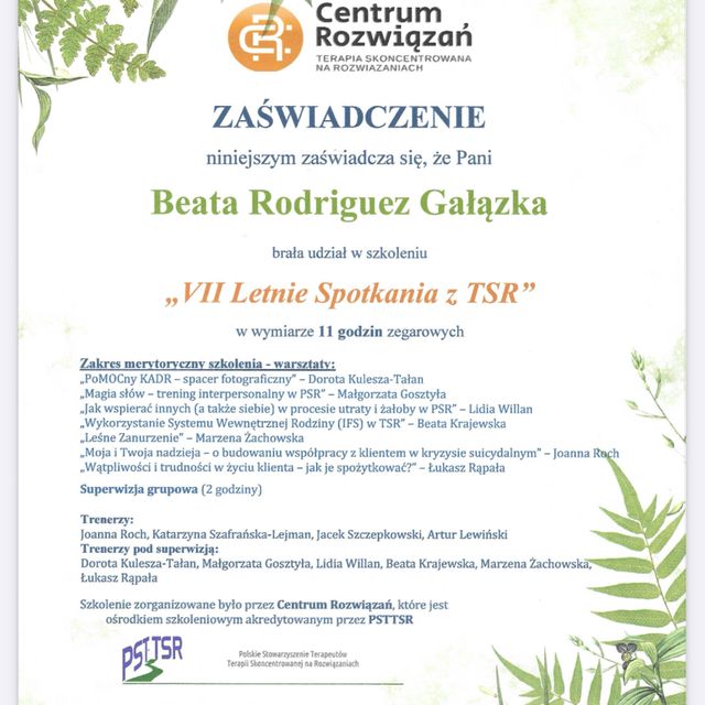 Powiększ obraz: certificate 13