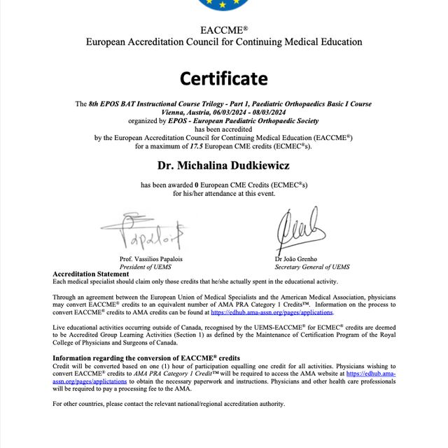 Powiększ obraz: certificate 1