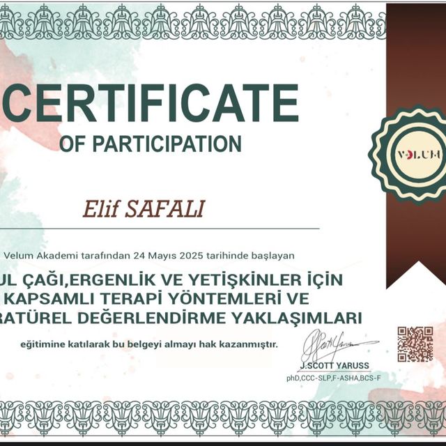 Resmi büyüt: certificate 4