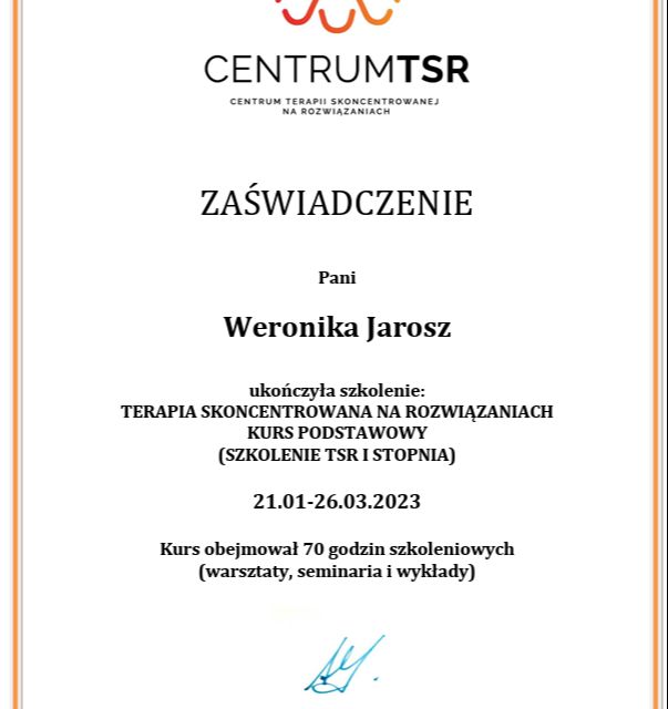 Powiększ obraz: certificate 1