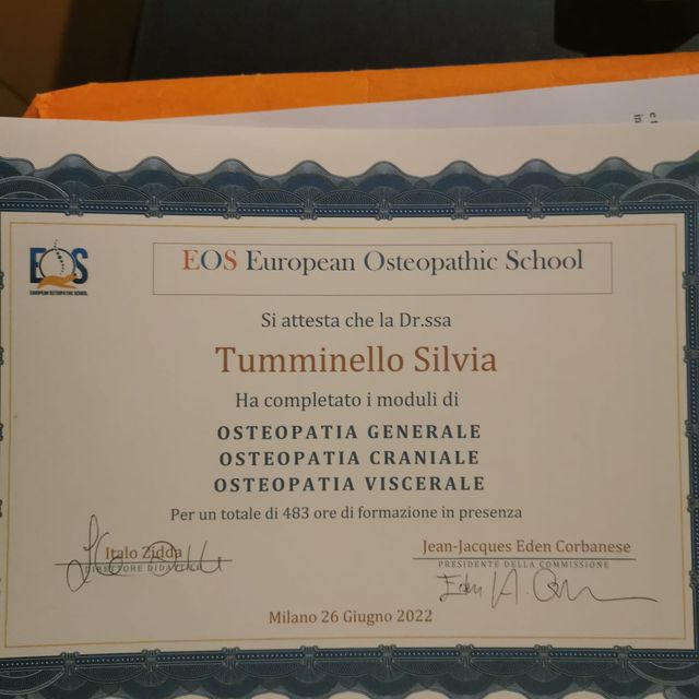 Ingrandire l'immagine: certificate 1
