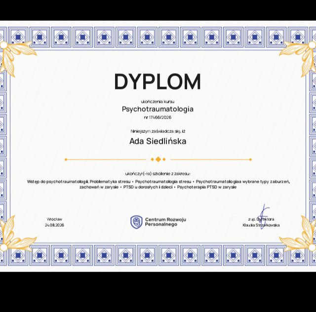 Powiększ obraz: certificate 2