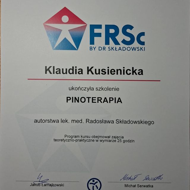 Powiększ obraz: certificate 5