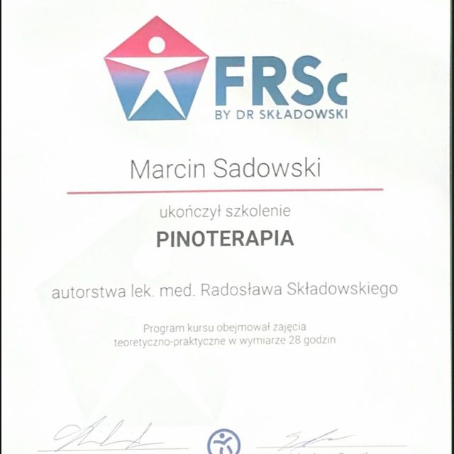 Powiększ obraz: certificate 5