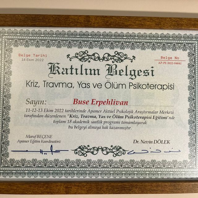 Resmi büyüt: certificate 1