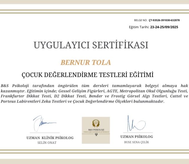 Resmi büyüt: certificate 6