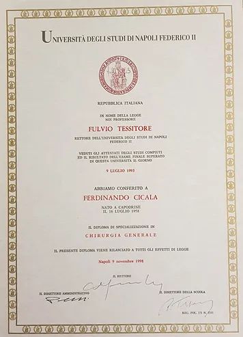 Ingrandire l'immagine: certificate 2