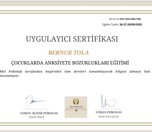 Resmi büyüt: certificate 12