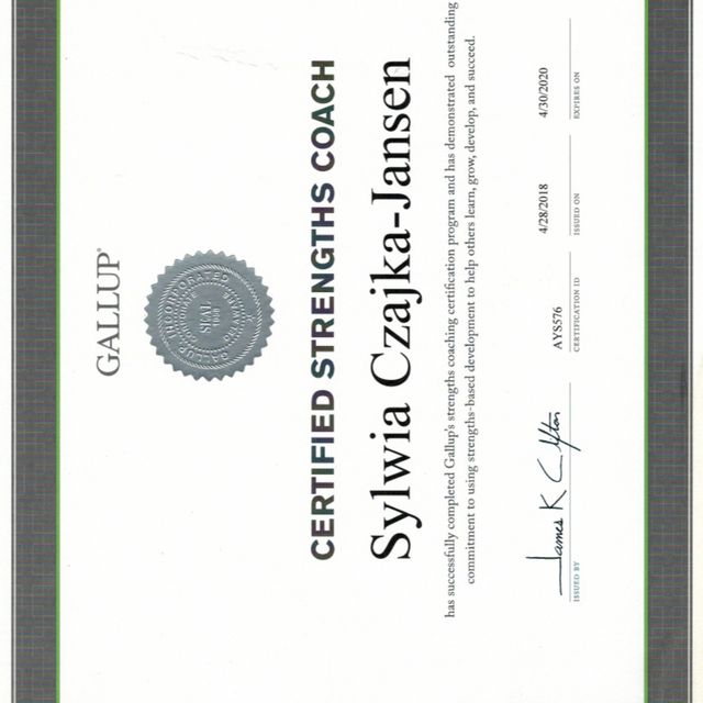 Powiększ obraz: certificate 2