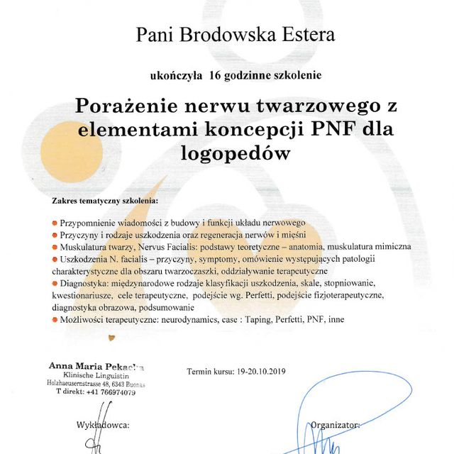 Powiększ obraz: certificate 8