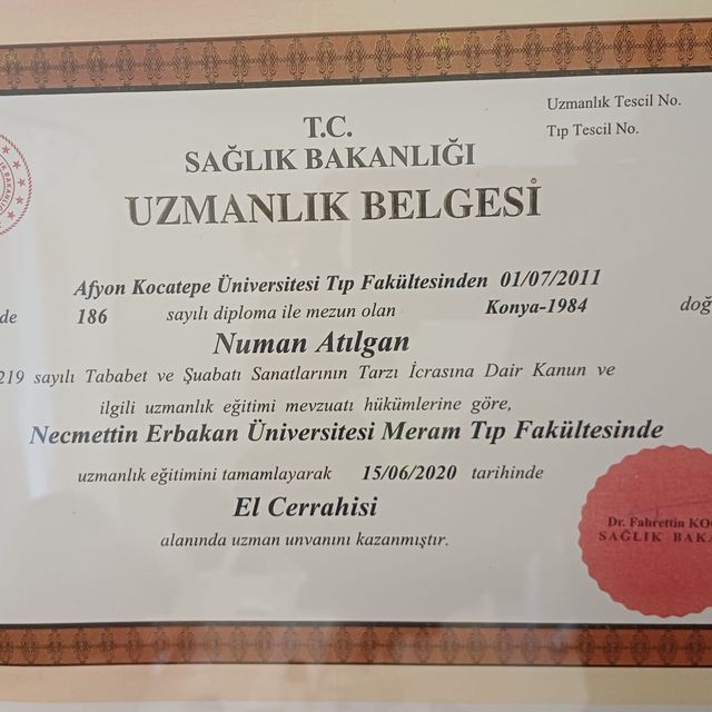 Resmi büyüt: certificate 9