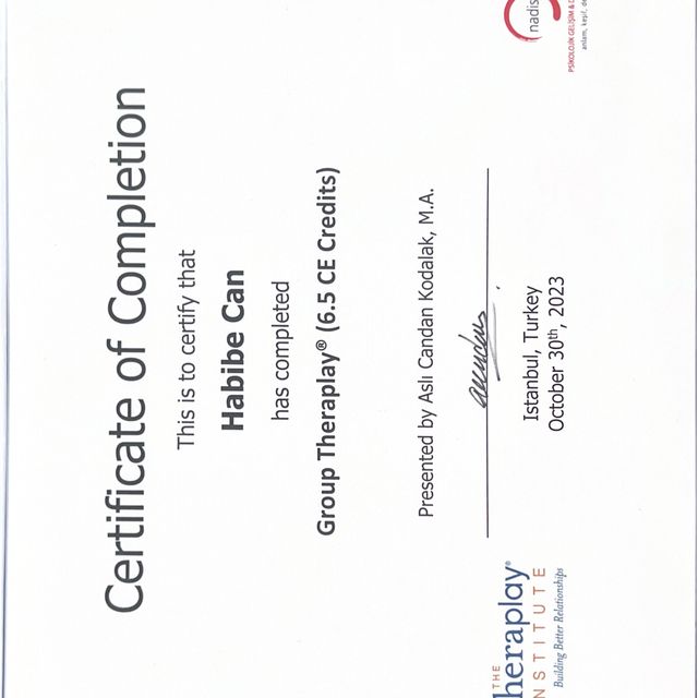 Resmi büyüt: certificate 12