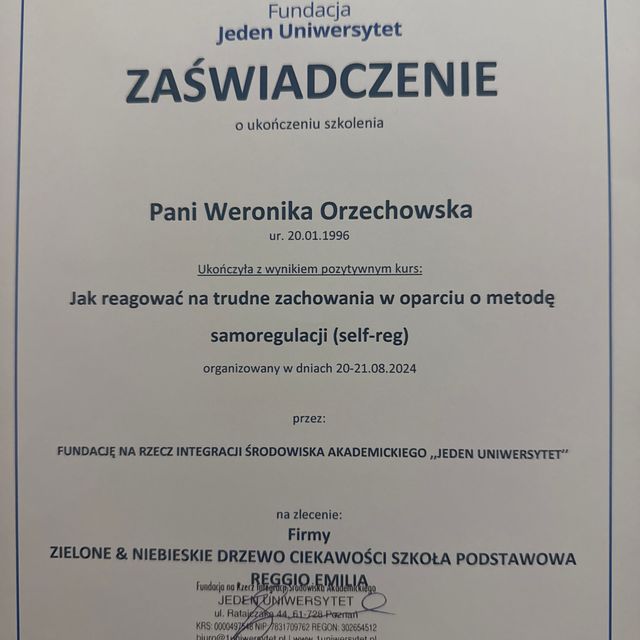 Powiększ obraz: certificate 2