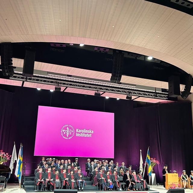 Powiększ obraz: certificate 163