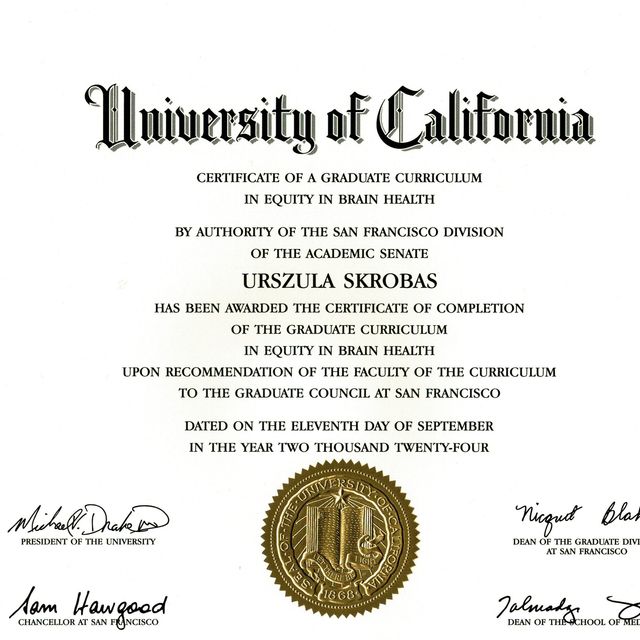 Powiększ obraz: certificate 1