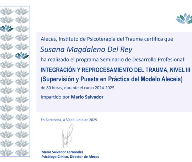 Acercar imagen: certificate 7
