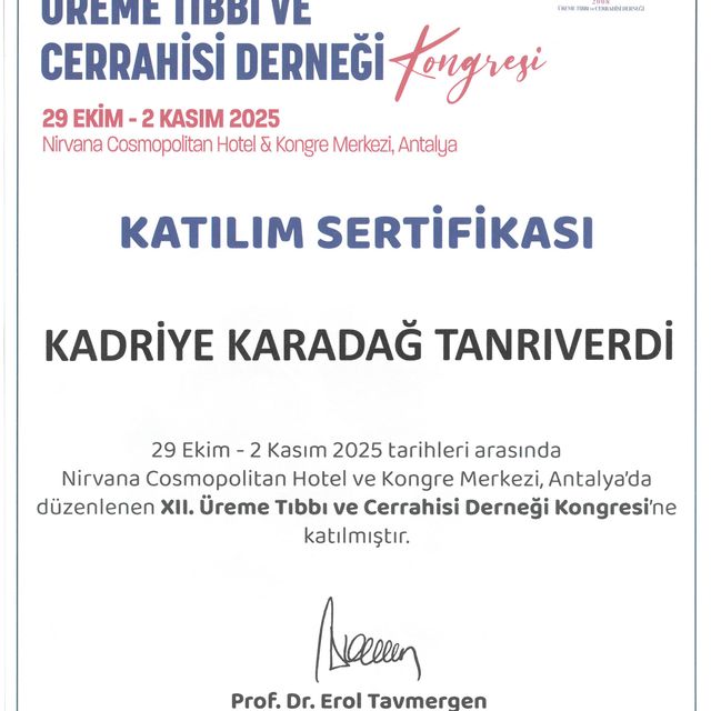 Resmi büyüt: certificate 28