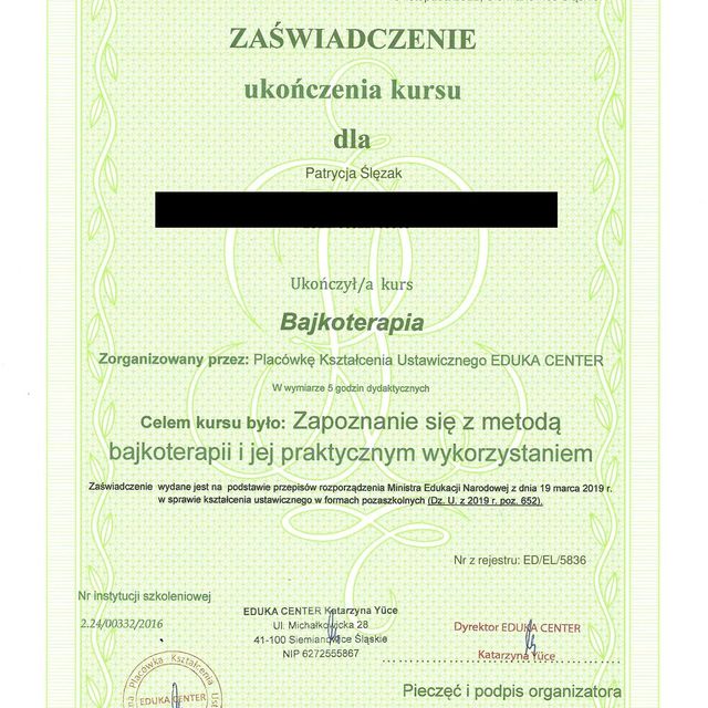 Powiększ obraz: certificate 20