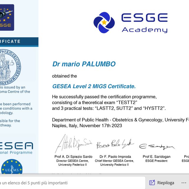 Ingrandire l'immagine: certificate 1