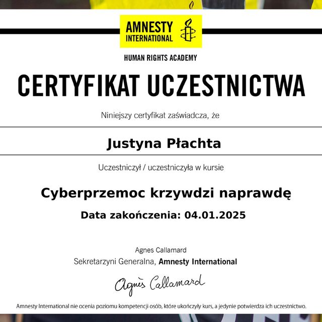 Powiększ obraz: certificate 1