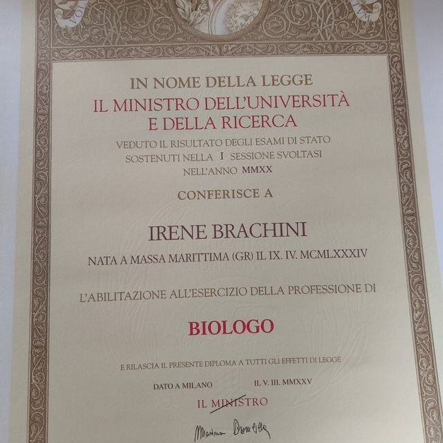 Ingrandire l'immagine: certificate 2