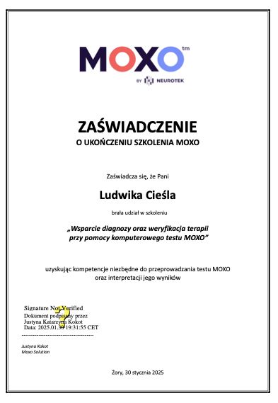 Powiększ obraz: certificate 1