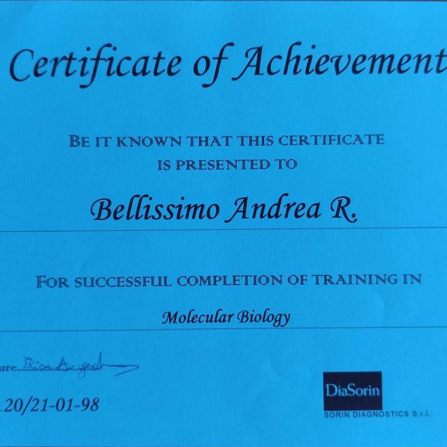 Ingrandire l'immagine: certificate 6