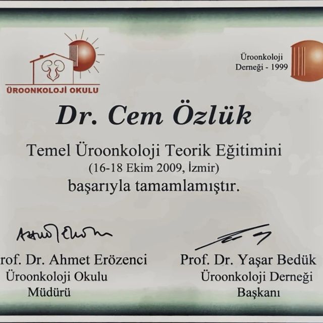 Resmi büyüt: certificate 16