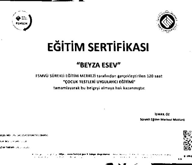 Resmi büyüt: certificate 10