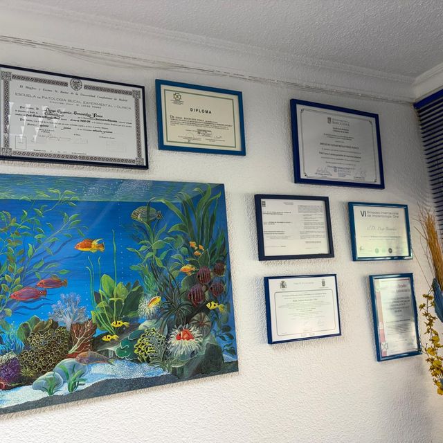 Acercar imagen: certificate 2