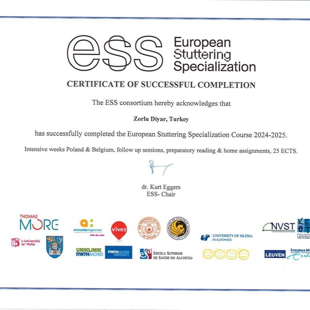 Resmi büyüt: certificate 2