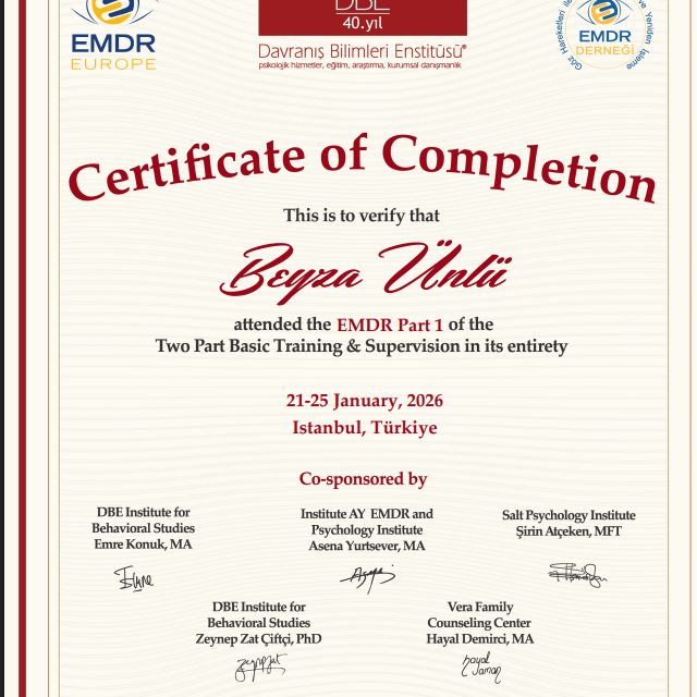 Resmi büyüt: certificate 3
