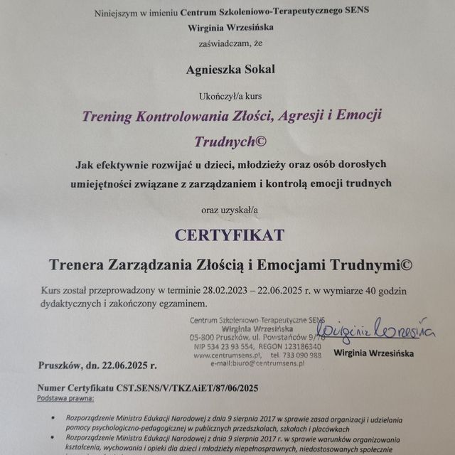 Powiększ obraz: certificate 1