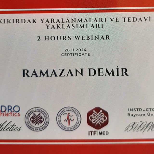 Resmi büyüt: certificate 45