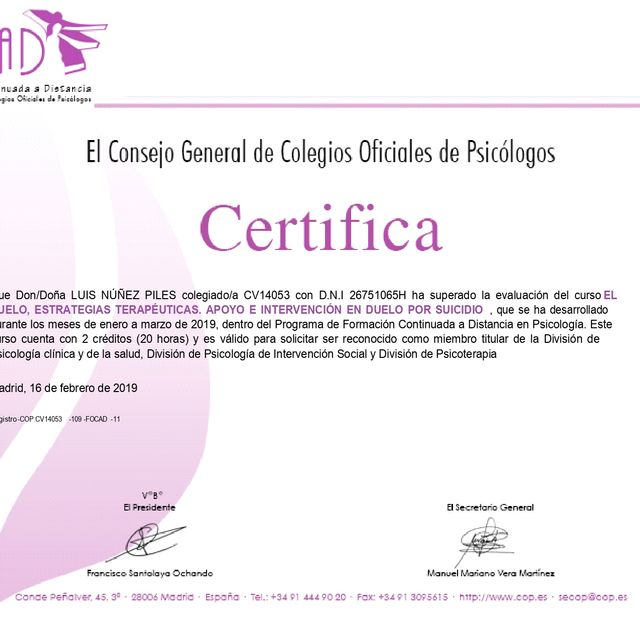 Acercar imagen: certificate 17