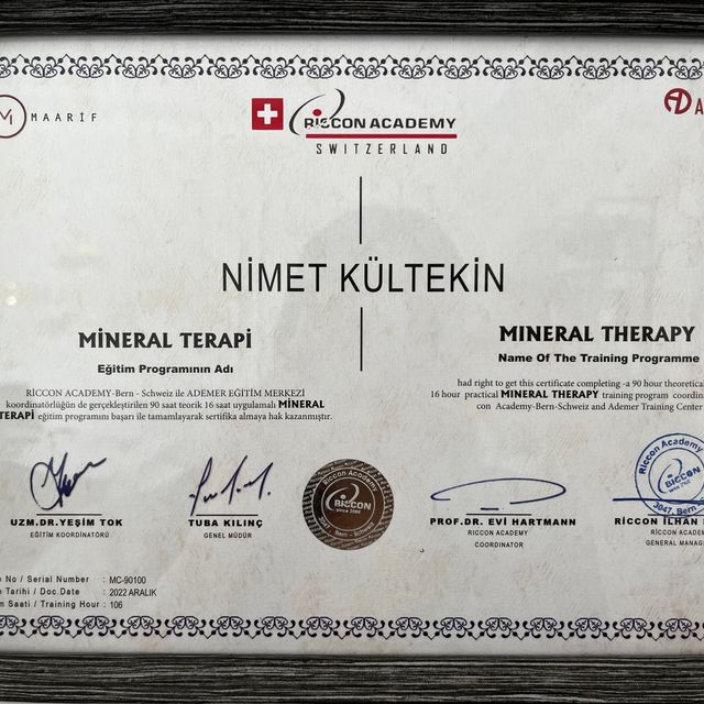 Resmi büyüt: certificate 1