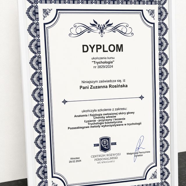 Powiększ obraz: certificate 2