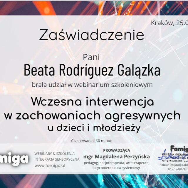 Powiększ obraz: certificate 10