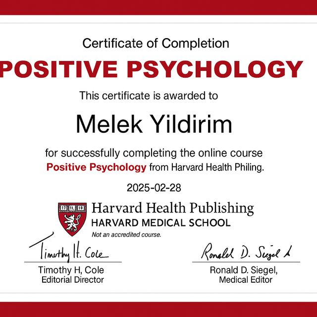 Resmi büyüt: certificate 1