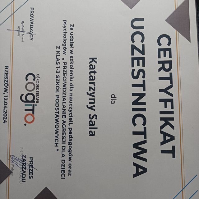 Powiększ obraz: certificate 11