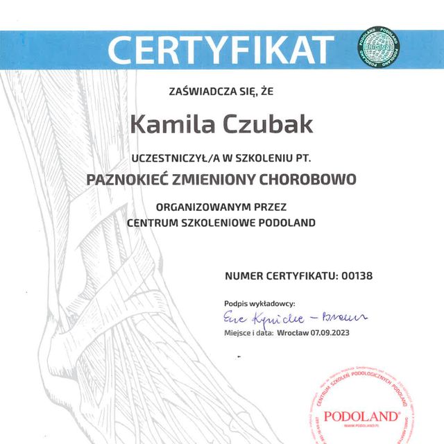 Powiększ obraz: certificate 4