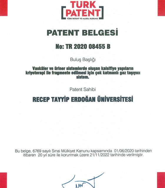 Resmi büyüt: certificate 1