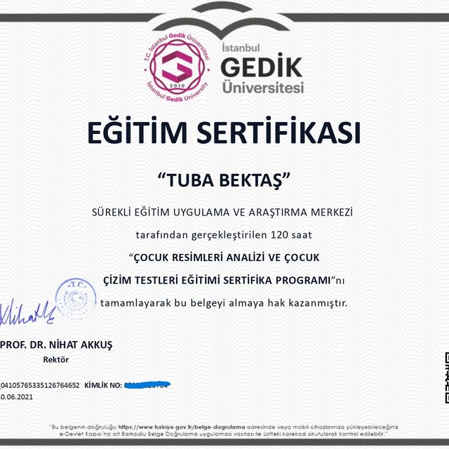 Resmi büyüt: certificate 13