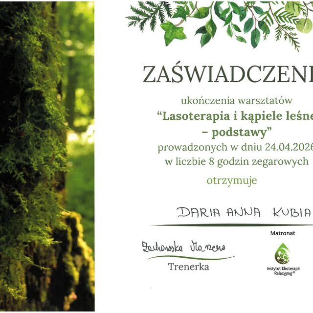 Powiększ obraz: certificate 4
