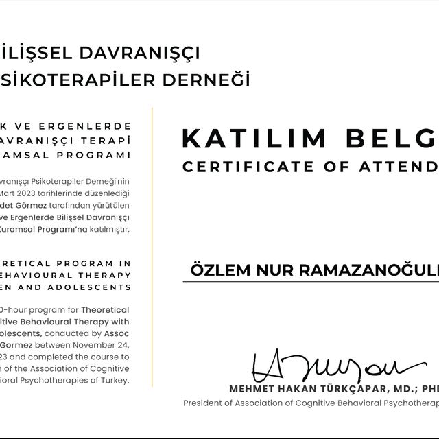 Resmi büyüt: certificate 1