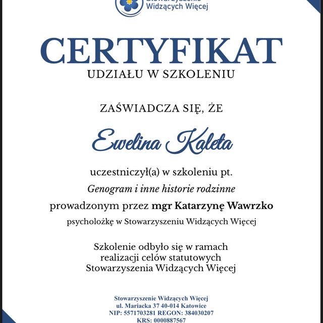 Powiększ obraz: certificate 8