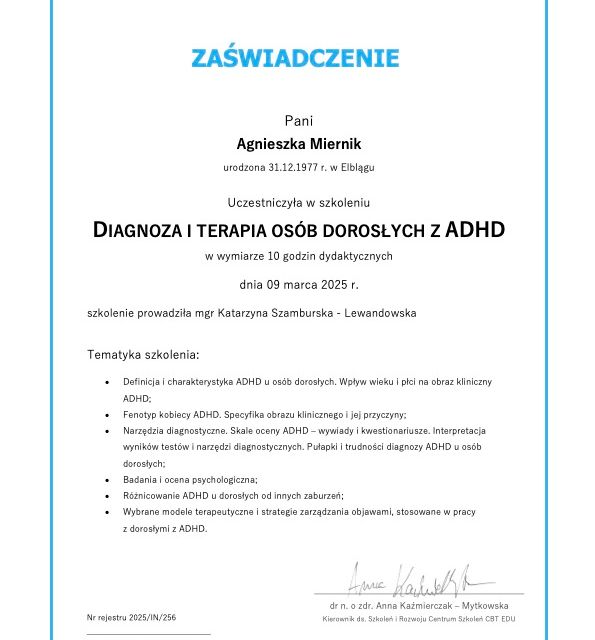 Powiększ obraz: certificate 2